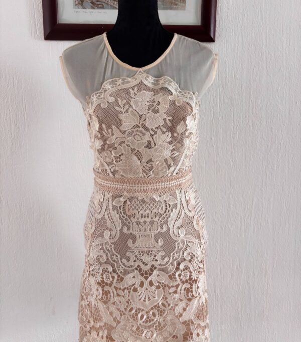 1000413006 Vestido Encaje Nude