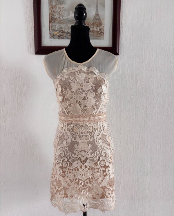 1000413009 Vestido Encaje Nude