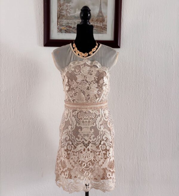 1000413012 Vestido Encaje Nude